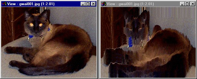 Gwai-Loh, Black Belt Systems Official Mascot